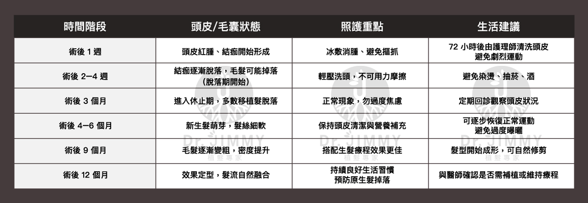 植髮恢復期全攻略：第1週到第12個月的變化與照護重點